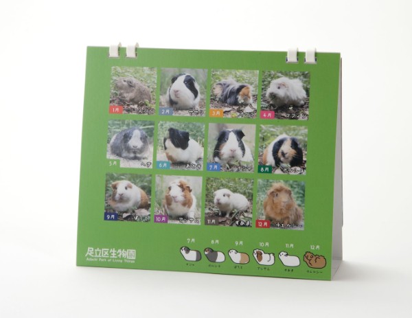 生物園オンラインショップ商品の画像