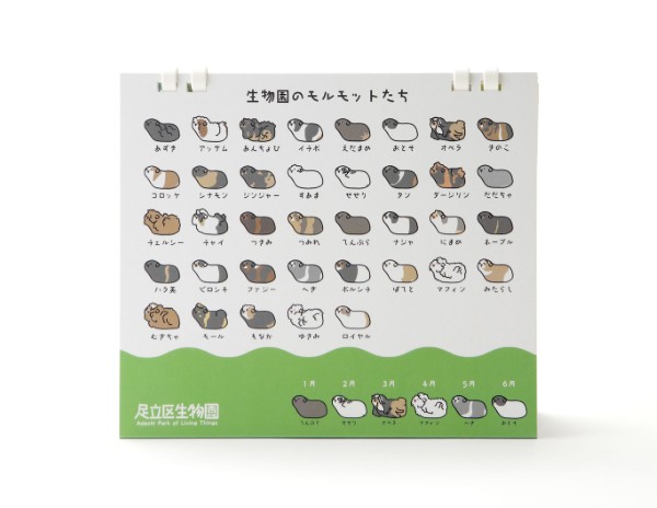 生物園オンラインショップ商品の画像