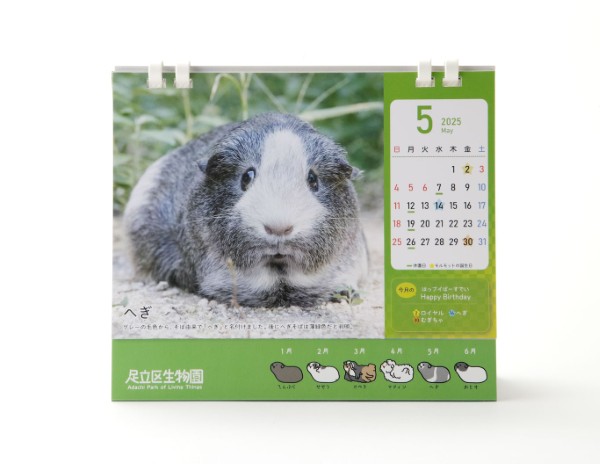 生物園オンラインショップ商品の画像