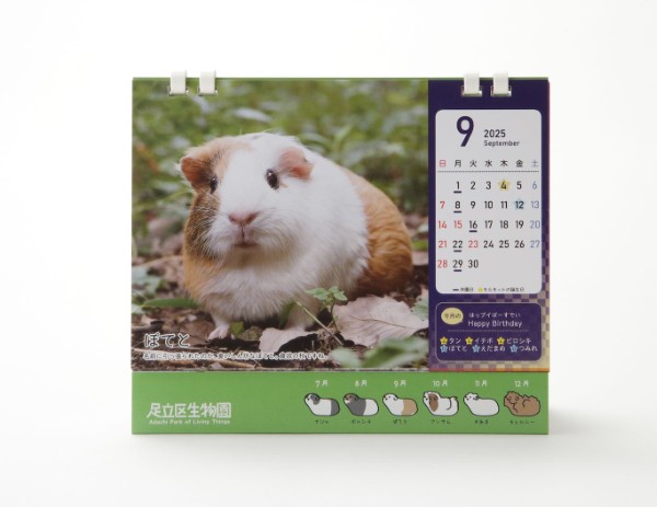 生物園オンラインショップ商品の画像