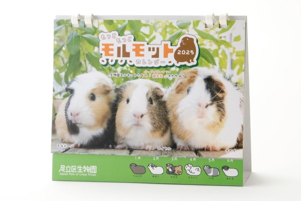 生物園オンラインショップ商品の画像