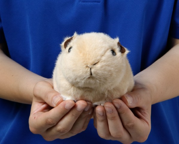 生物園オンラインショップ商品の画像