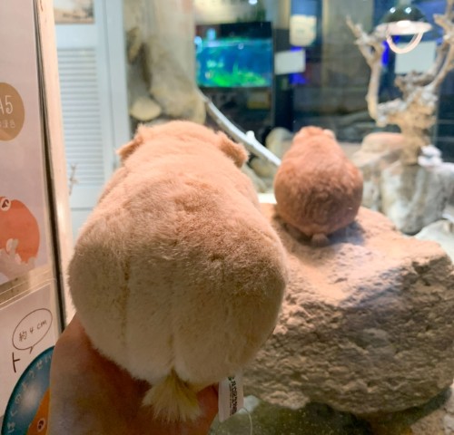 生物園オンラインショップ商品の画像