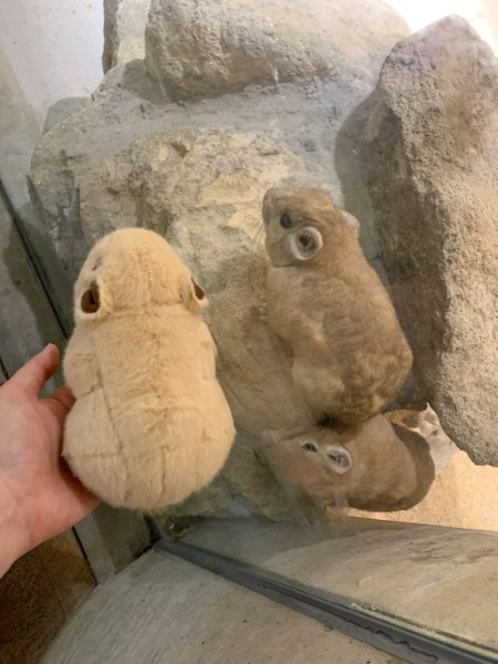 生物園オンラインショップ商品の画像