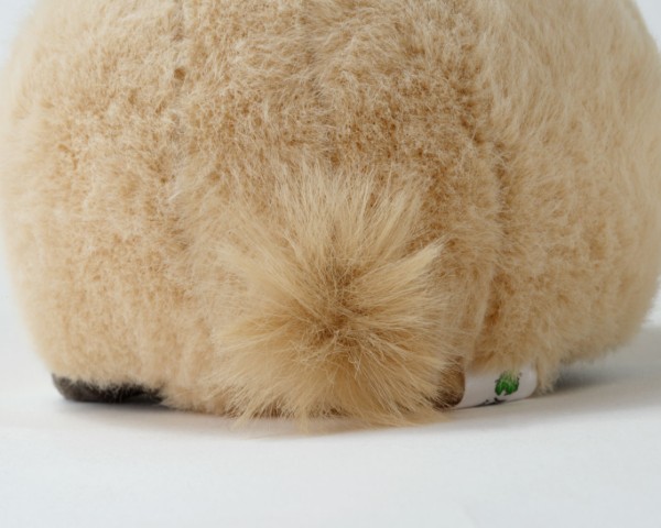 生物園オンラインショップ商品の画像