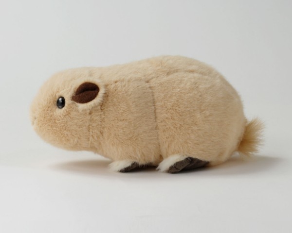 生物園オンラインショップ商品の画像