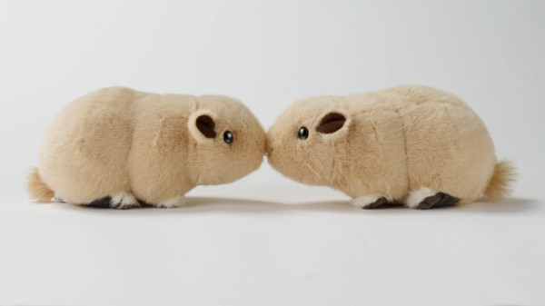 生物園オンラインショップ商品の画像