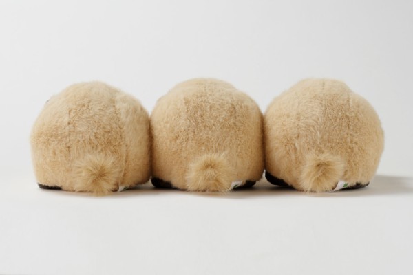 生物園オンラインショップ商品の画像