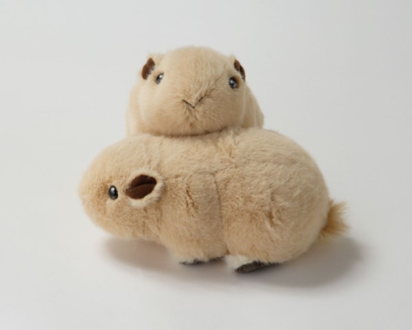 生物園オンラインショップ商品の画像