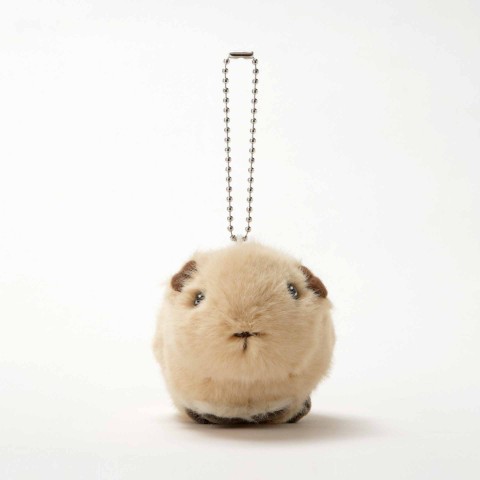 生物園オンラインショップ商品の画像