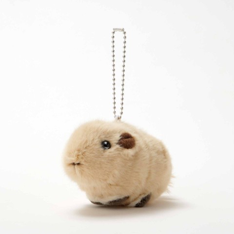 生物園オンラインショップ商品の画像