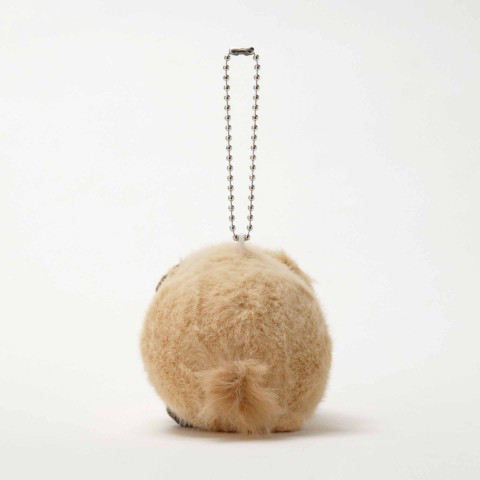 生物園オンラインショップ商品の画像