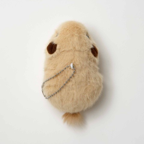 生物園オンラインショップ商品の画像