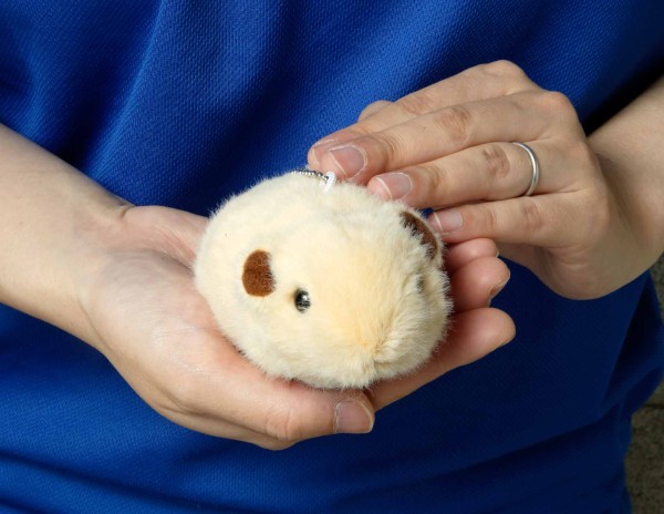 生物園オンラインショップ商品の画像