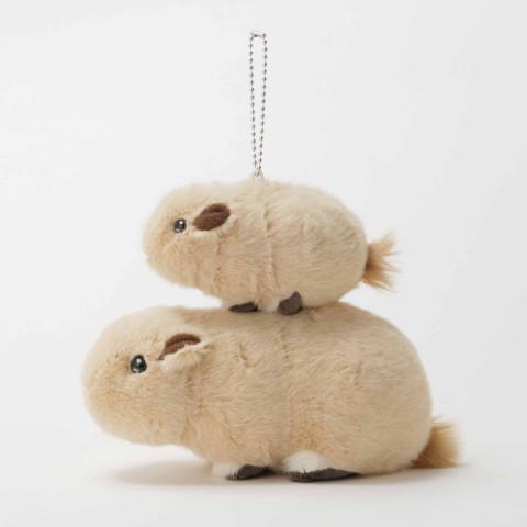 生物園オンラインショップ商品の画像