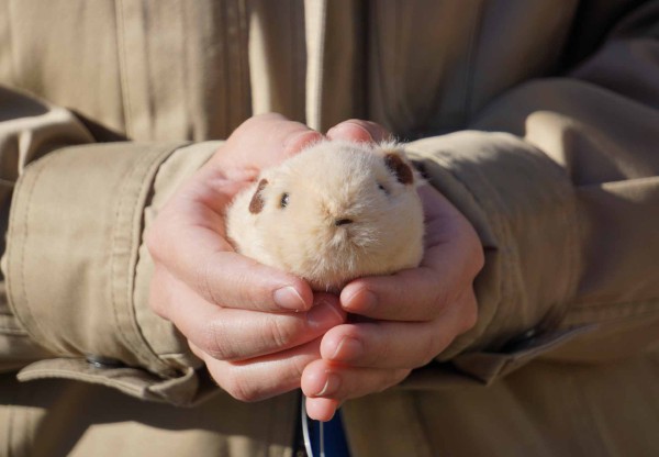 生物園オンラインショップ商品の画像