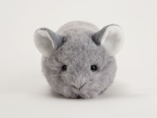 生物園オンラインショップ商品の画像