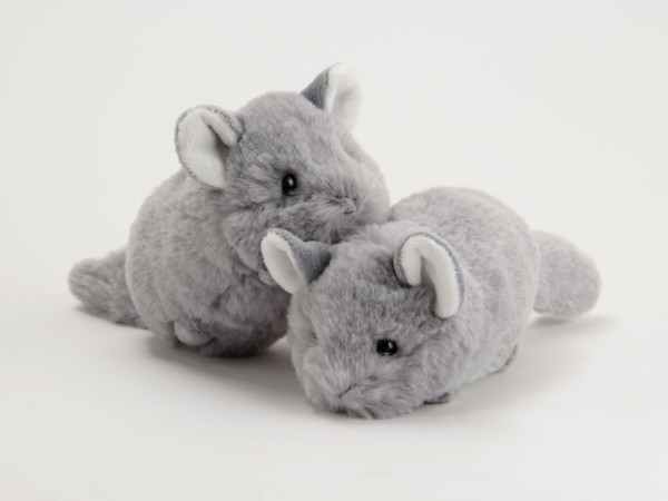 生物園オンラインショップ商品の画像