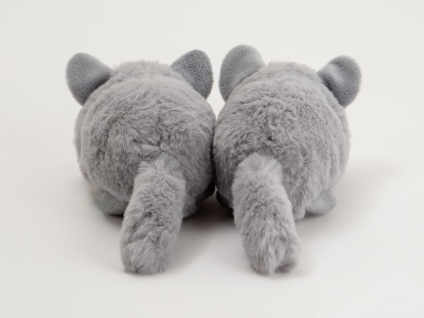 生物園オンラインショップ商品の画像