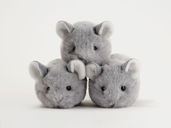 生物園オンラインショップ商品の画像