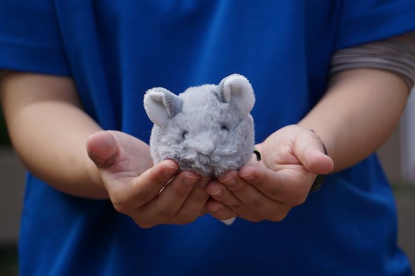 生物園オンラインショップ商品の画像