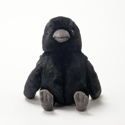 生物園オンラインショップ商品の画像