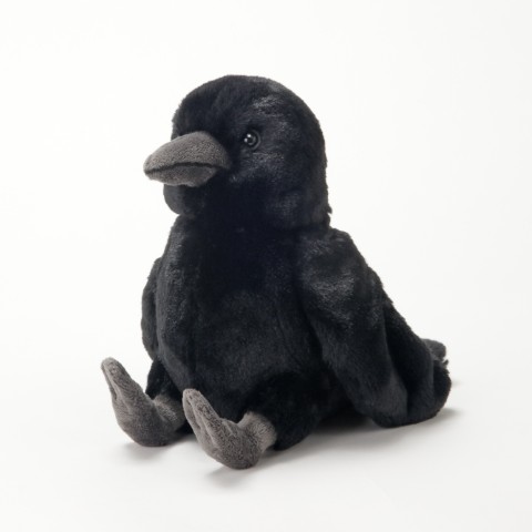 生物園オンラインショップ商品の画像