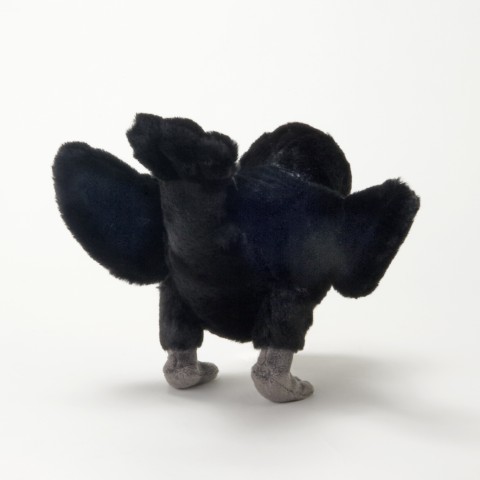 生物園オンラインショップ商品の画像