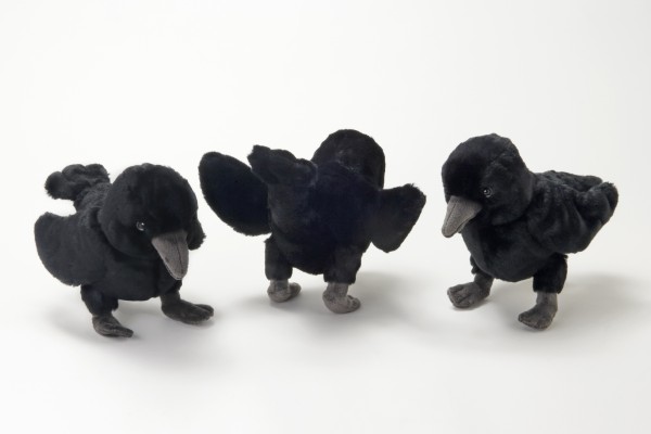 生物園オンラインショップ商品の画像