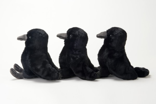 生物園オンラインショップ商品の画像