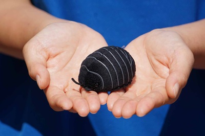 生物園オンラインショップ商品の画像