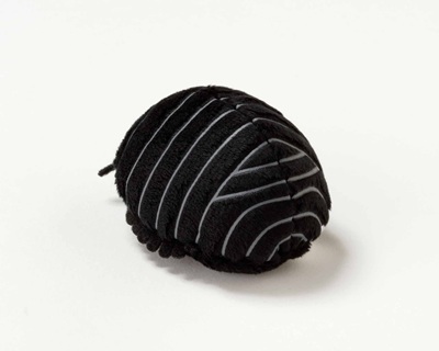 生物園オンラインショップ商品の画像