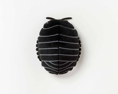 生物園オンラインショップ商品の画像