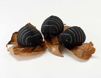 生物園オンラインショップ商品の画像