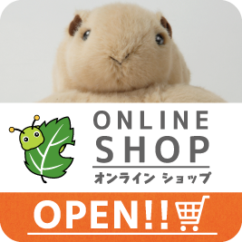 イベント等の画像