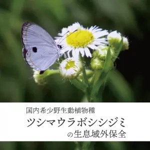 イベント等の画像