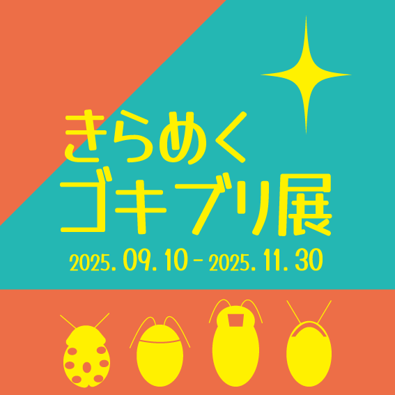 イベント等の画像