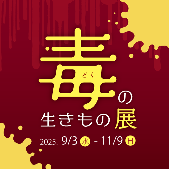イベント等の画像